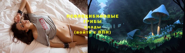 первитин Абинск