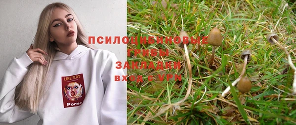 МДПВ Абдулино