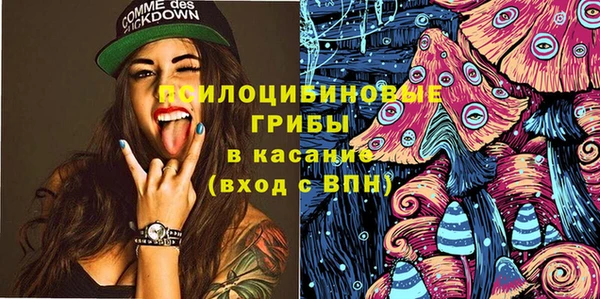 МДПВ Абдулино